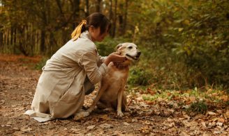 Puces et tiques en automne