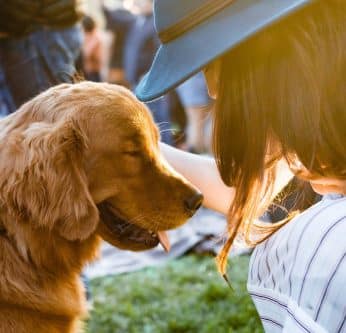 Les avantages de posséder un animal de compagnie