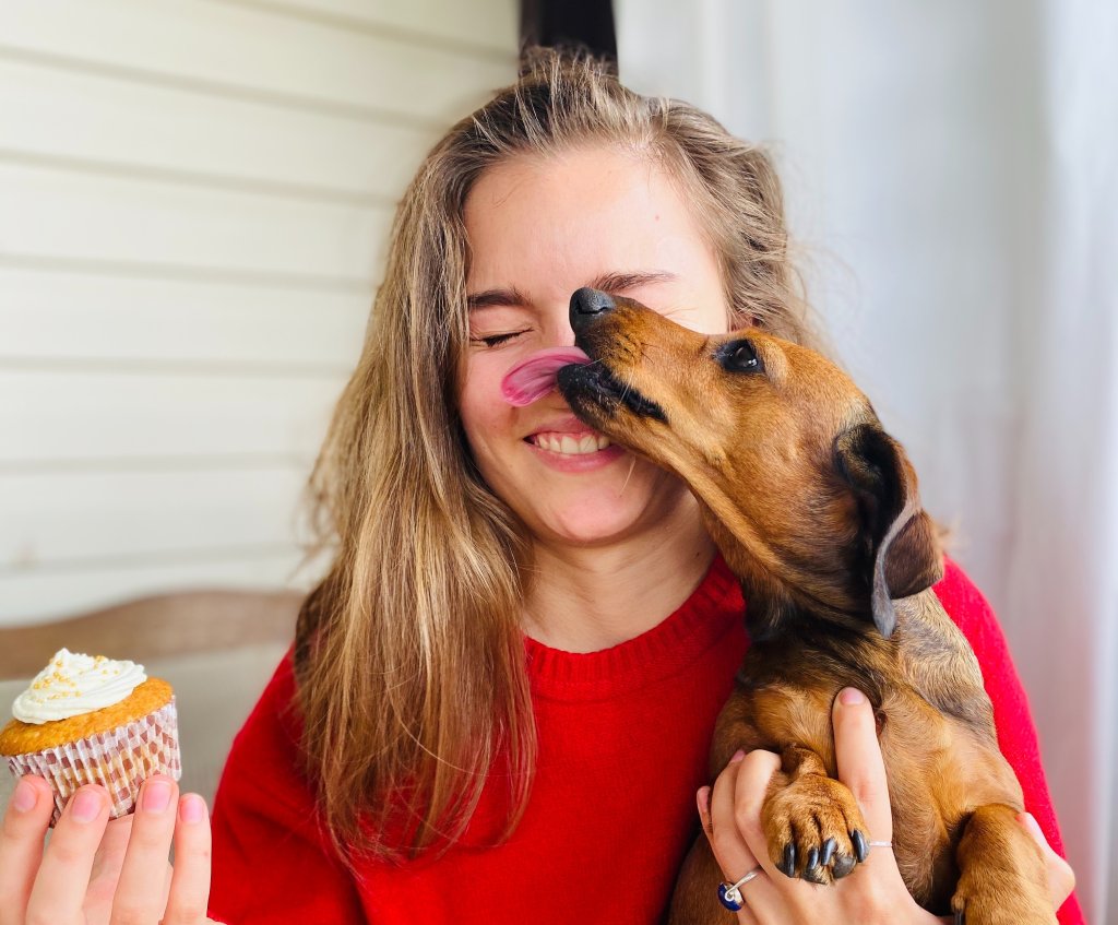 Jeune teckel lèche le nez d'une jeune fille en pull rouge
