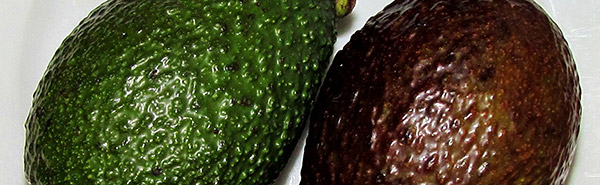 Les aliments qui peuvent tuer un chat