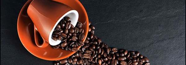 Les aliments qui peuvent tuer un chat