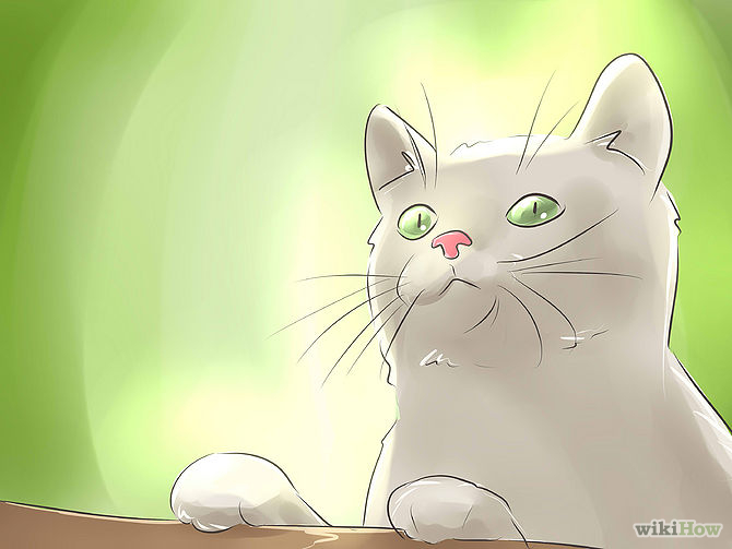 cat proof eviter au chat de monter sur les meubles