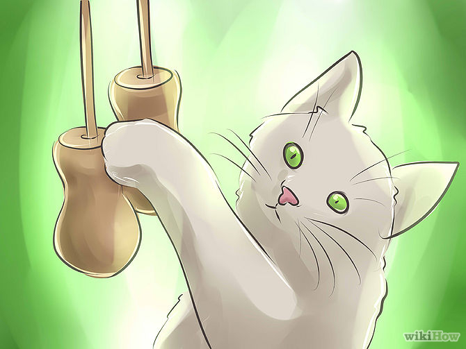 cat proof les stores et rideaux