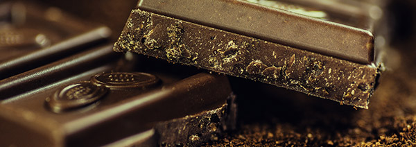 Les aliments qui peuvent tuer un chat