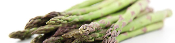 sante chien asperge