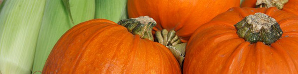 sante chien citrouille