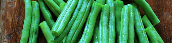 Haricot vert légume santé chien sante chien Haricot vert
