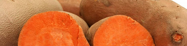 sante chien patate douce