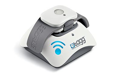 tagg collier GPS pour chien