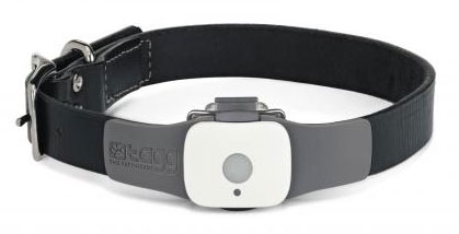 tagg collier gps pour chien