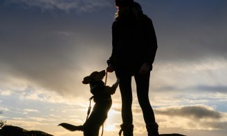 Les propriétaires de chien ont un cœur en meilleure santé
