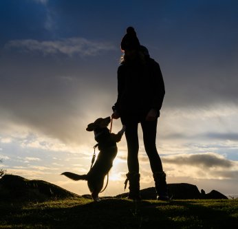 Les propriétaires de chien ont un cœur en meilleure santé